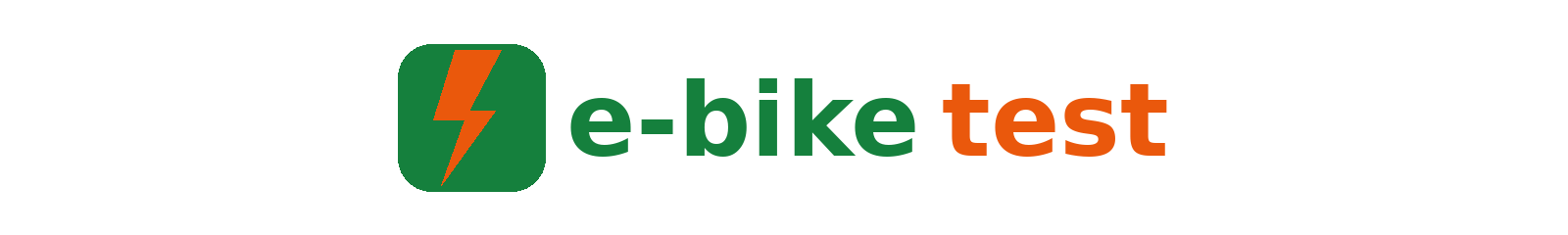 Mein E-Bike Test