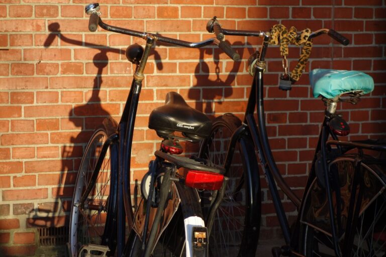 Faltrad oder E-Bike: Was passt wem?