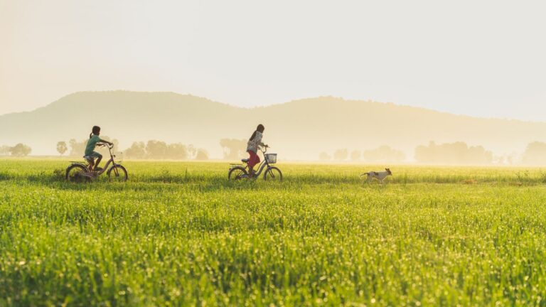 Top 5 Futter für sportliche Begleithunde beim Radfahren